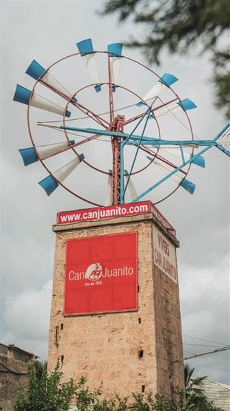Gallery: can juanito gallery 11