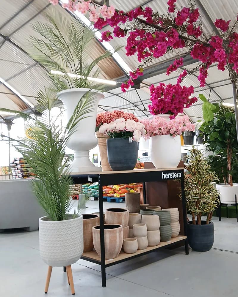 Galeriebild von Gartencenter Mallorca | Pflanzen & Beratung bei Can Juanito