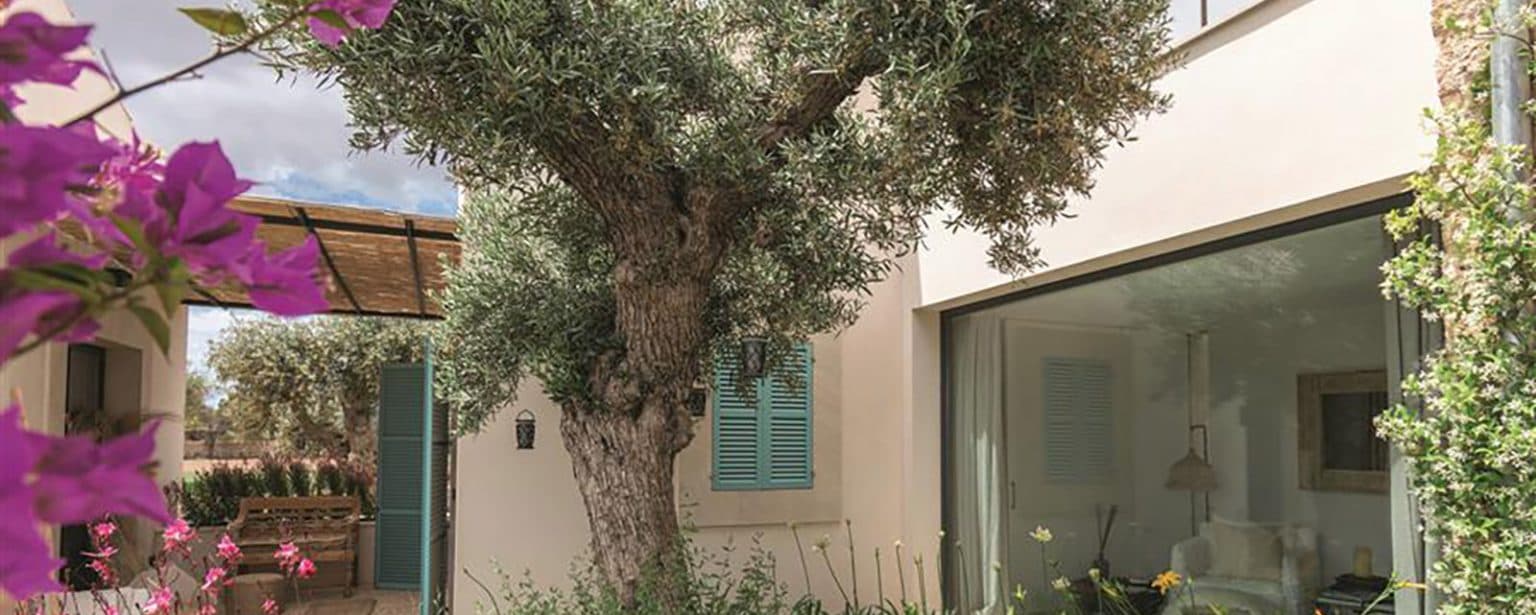 Gallery: my landscaping gallery 1