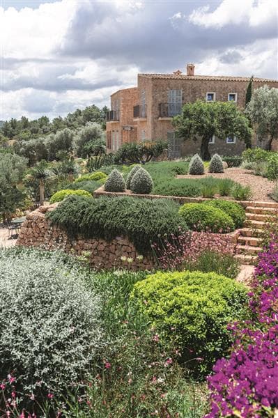 Gallery: my landscaping gallery 13