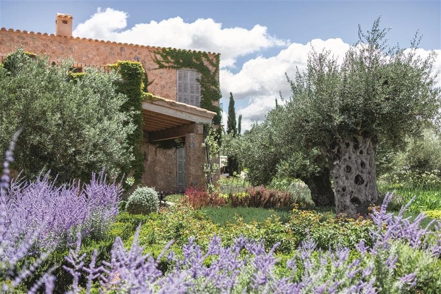 Gallery: my landscaping gallery 15