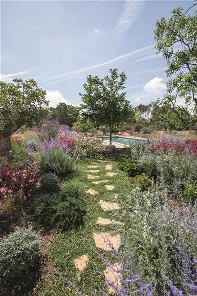 Gallery: my landscaping gallery 5