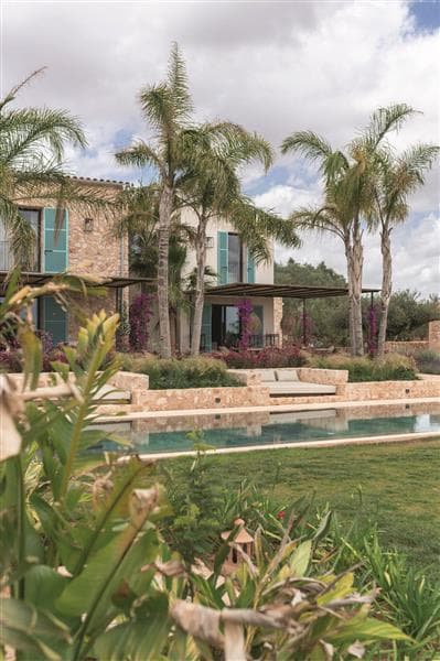 Gallery: my landscaping gallery 6