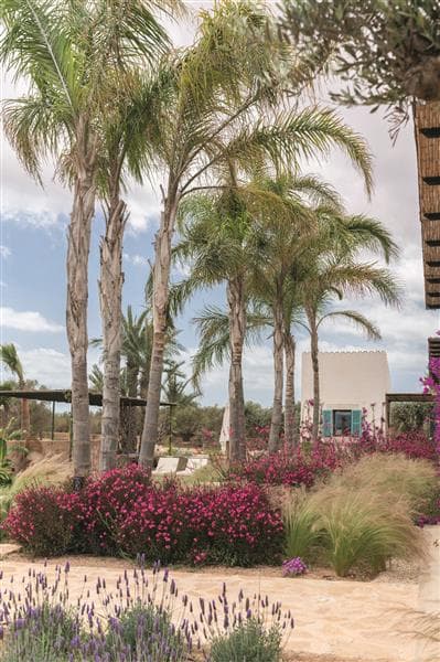 Gallery: my landscaping gallery 8