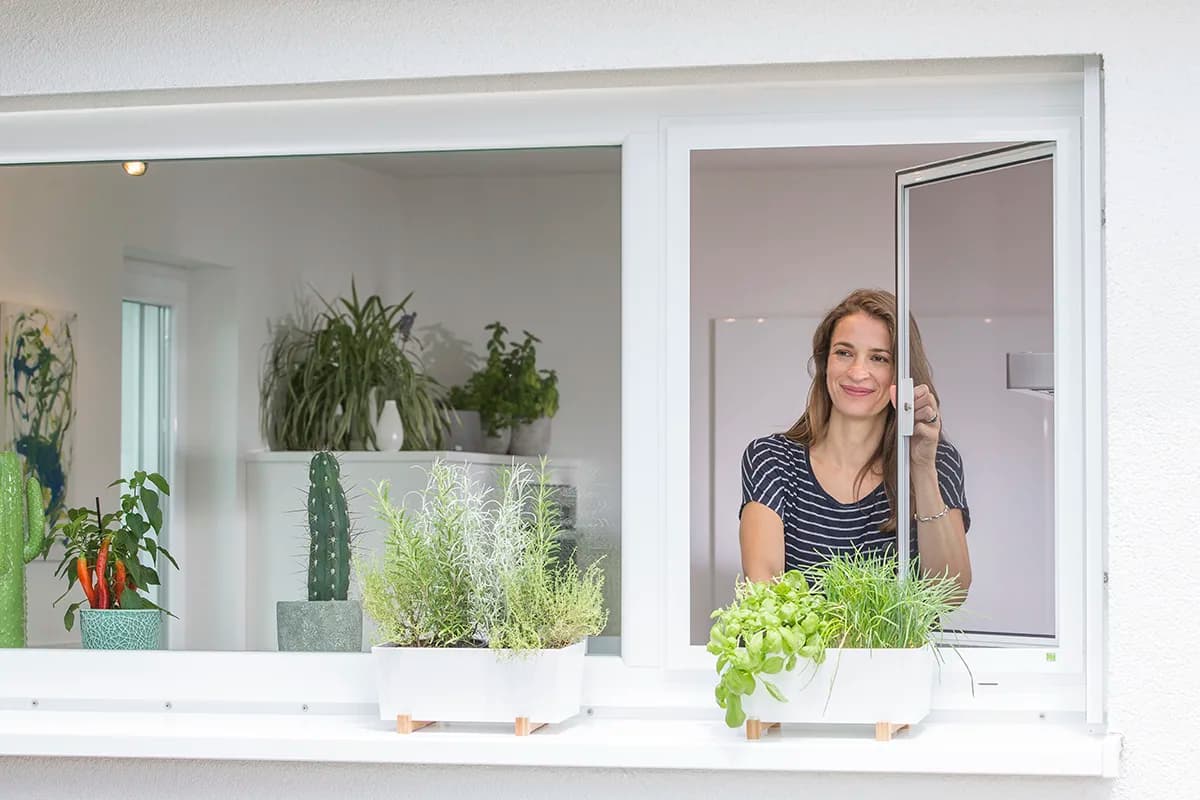 Galeriebild von Netec Mosquiteras für Fenster, Türen & Terrassen