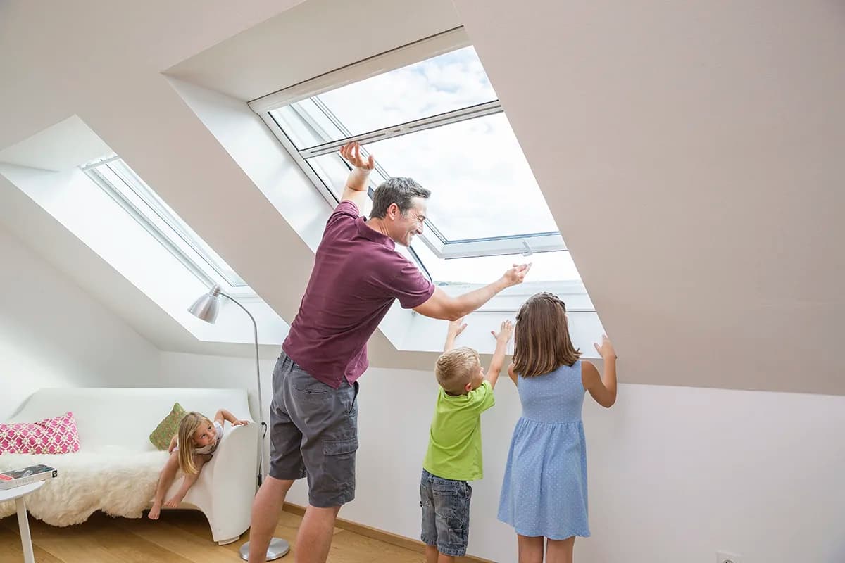 Galeriebild von Netec Mosquiteras für Fenster, Türen & Terrassen