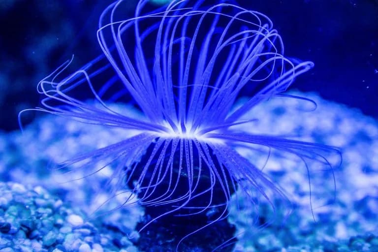 Galeriebild 2 von Palma-Aquarium – palmaaquarium gallery 2