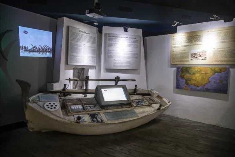 Galeriebild 5 von Palma-Aquarium – palmaaquarium gallery 5