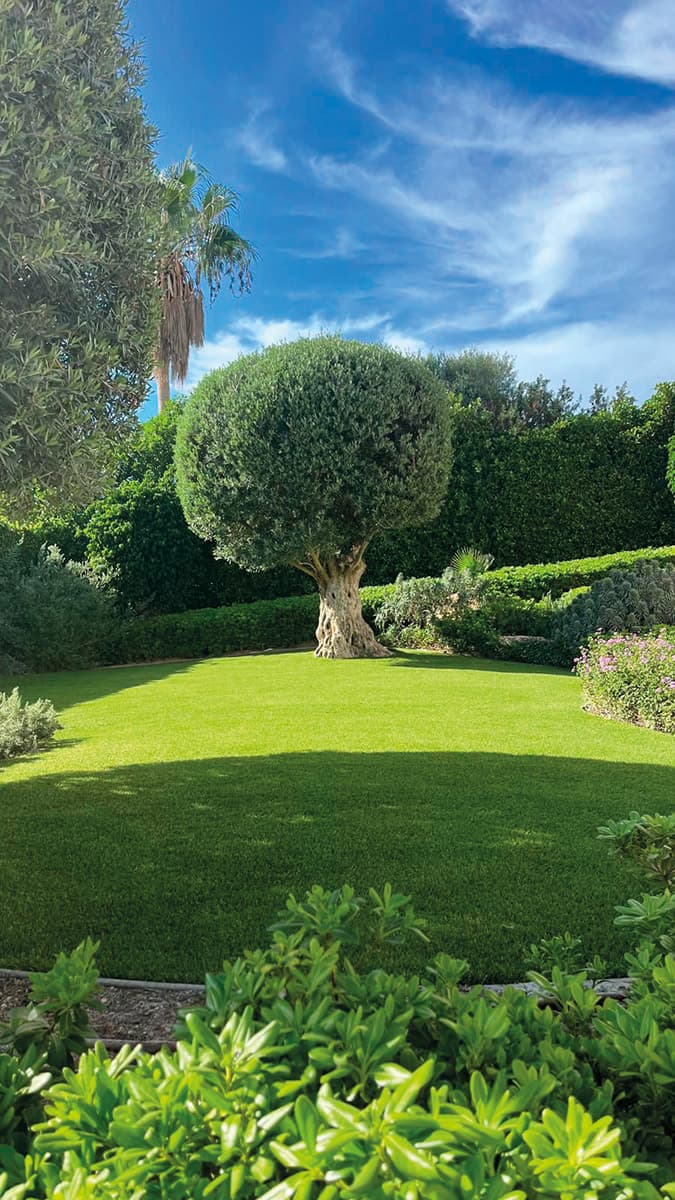 Gallery: topgreen 19