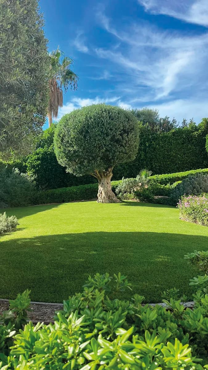 Galeriebild von Top Green Mallorca – Premium-Kunstrasen für Garten