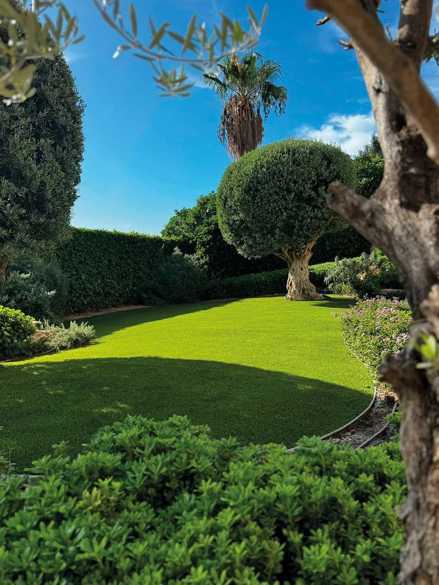 Galeriebild von Top Green Mallorca – Premium-Kunstrasen für Garten
