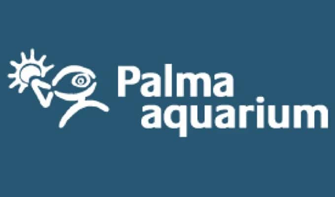 Palma-Aquarium