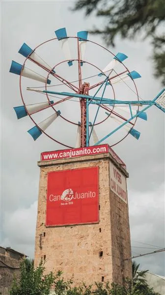 Galeriebild 11 von Gartencenter Mallorca | Pflanzen & Beratung bei Can Juanito – can juanito gallery 11
