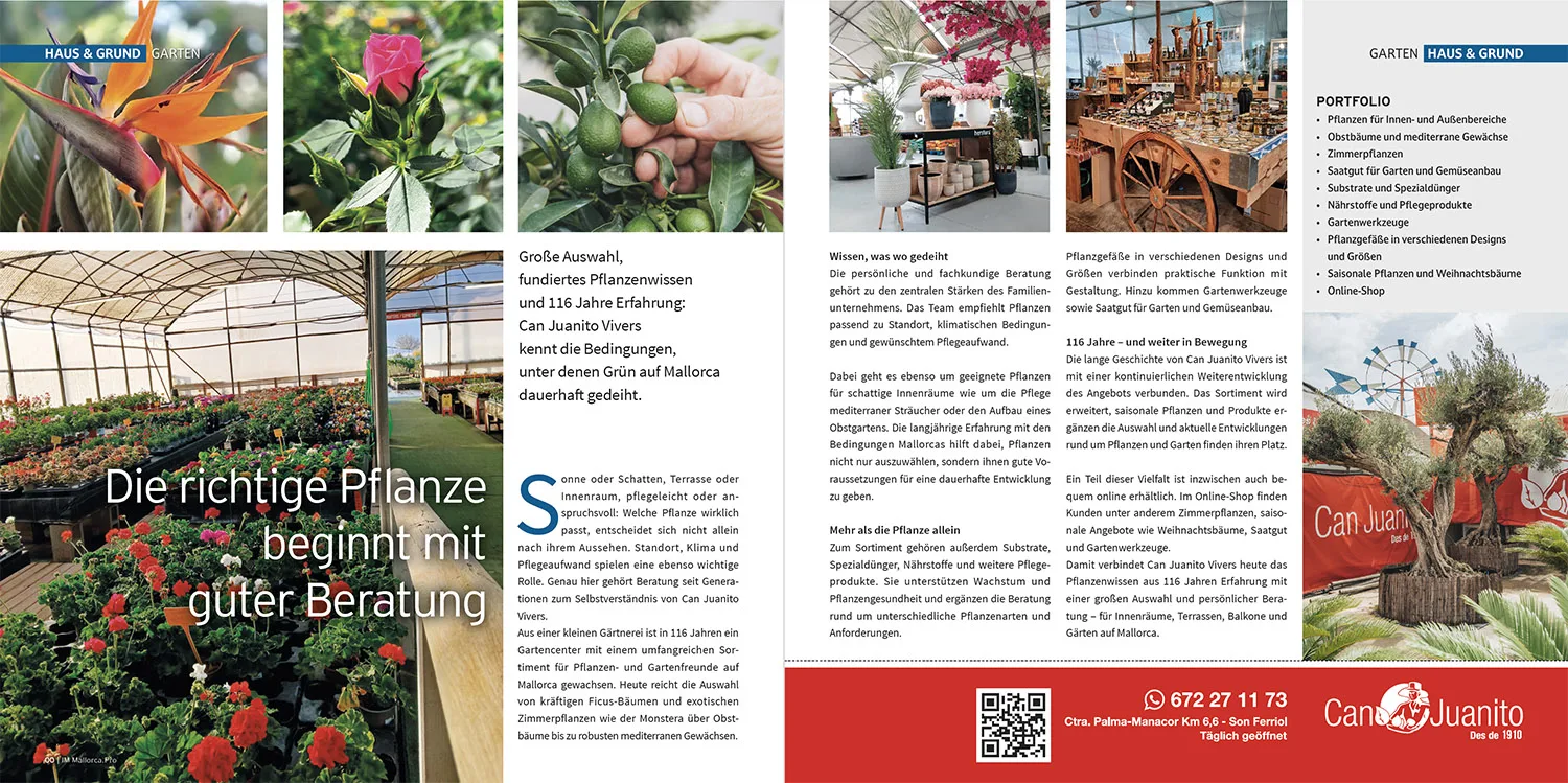 Galeriebild 30 von Gartencenter Mallorca | Pflanzen & Beratung bei Can Juanito – firma gallery 24 1789468444470