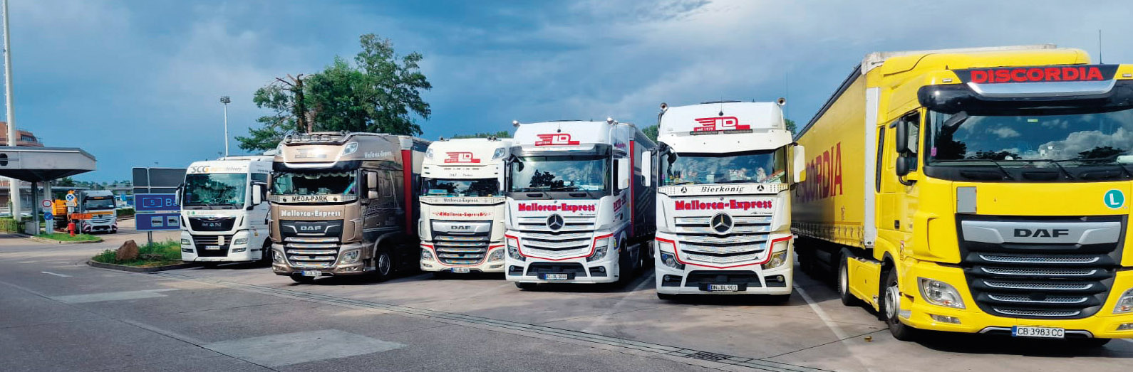 Anwalt Mallorca - Mallorca-Express Transporte - Hauptbild