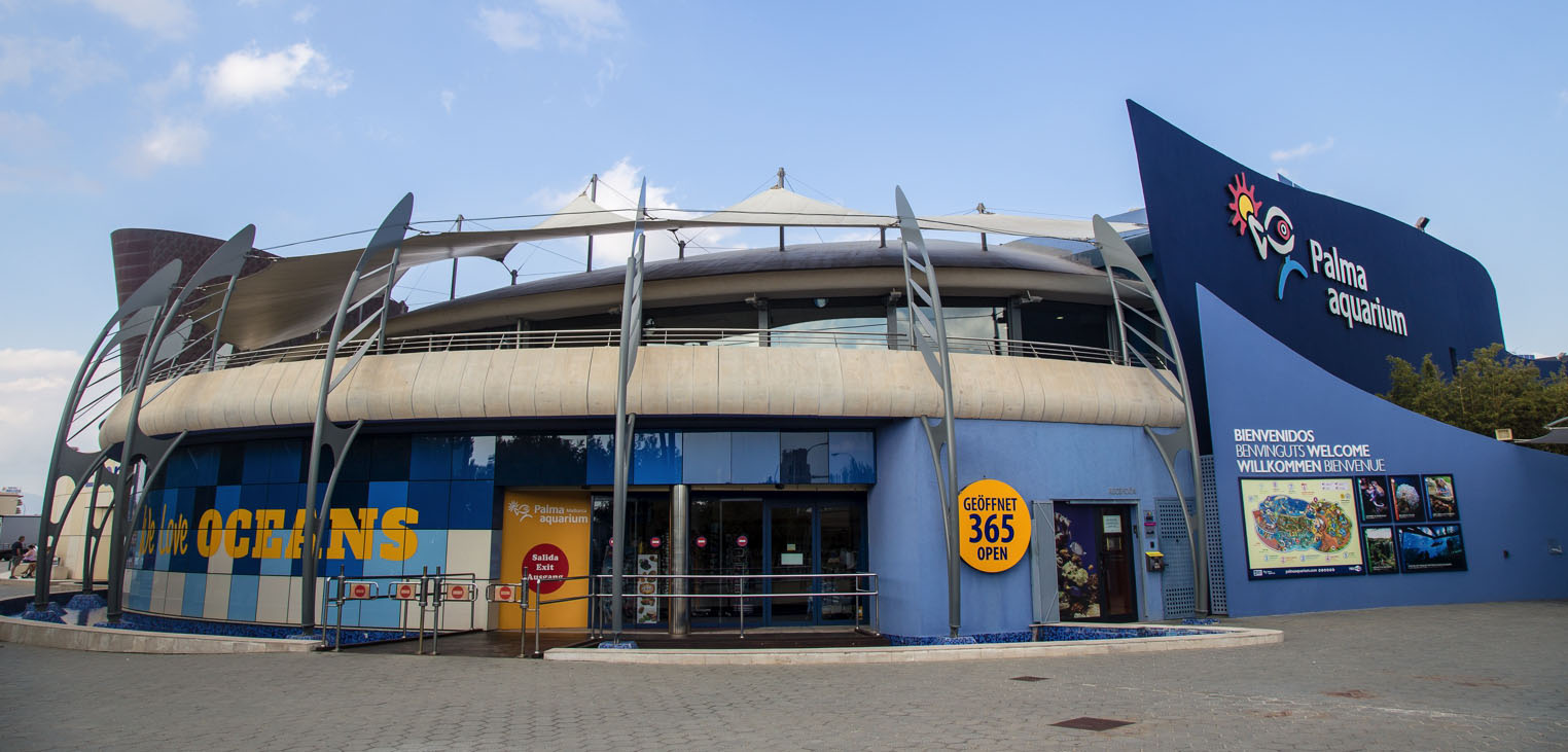 Hai Aquarium Mallorca - Palma-Aquarium - Hauptbild
